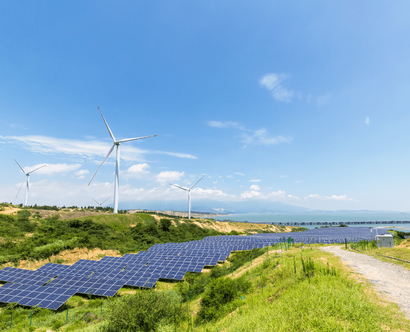 wind turbine and solar panel in the field